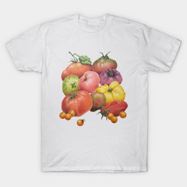 Summer Tomatoes T-Shirt by hnewmanart